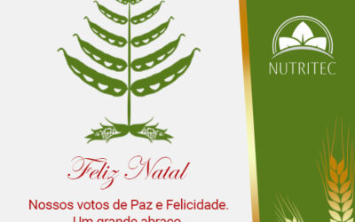 Um Feliz Natal!