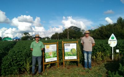 Tarde de campo Nutriação